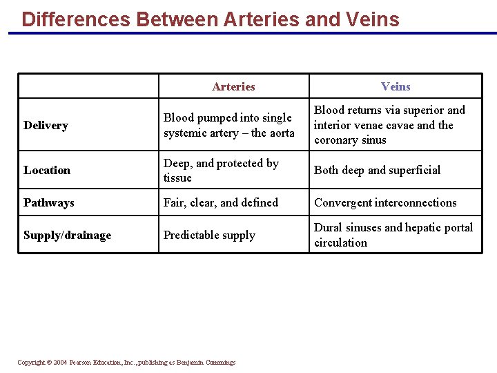 Differences Between Arteries and Veins Arteries Veins Delivery Blood pumped into single systemic artery