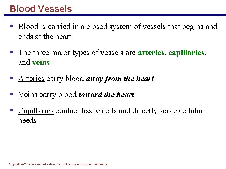 Blood Vessels § Blood is carried in a closed system of vessels that begins