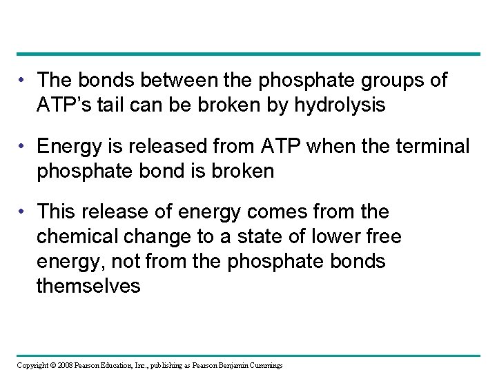  • The bonds between the phosphate groups of ATP’s tail can be broken