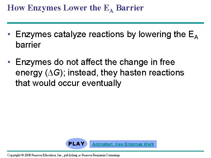 How Enzymes Lower the EA Barrier • Enzymes catalyze reactions by lowering the EA