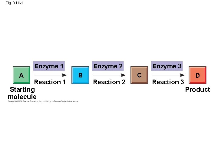 Fig. 8 -UN 1 Enzyme 1 A Reaction 1 Starting molecule Enzyme 2 B