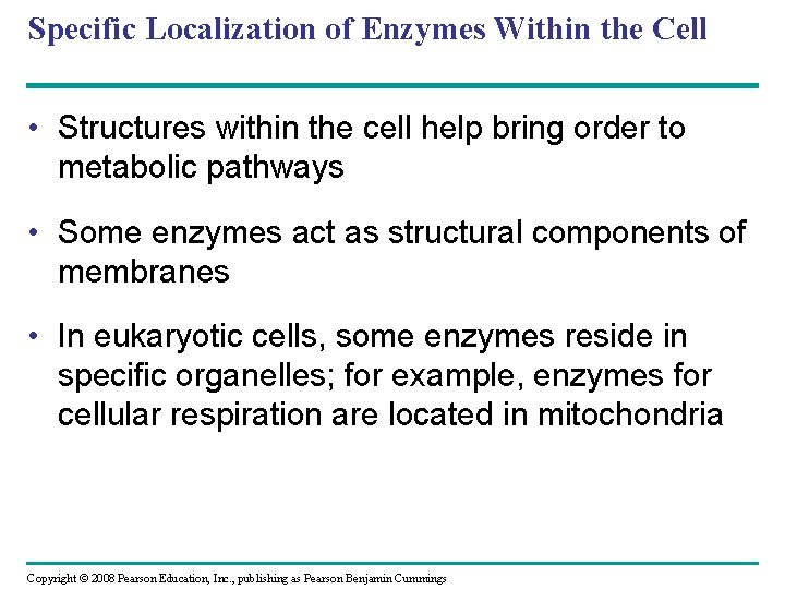 Specific Localization of Enzymes Within the Cell • Structures within the cell help bring