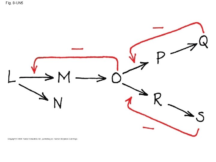 Fig. 8 -UN 5 