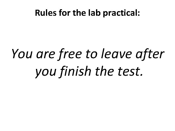 Rules for the lab practical: You are free to leave after you finish the
