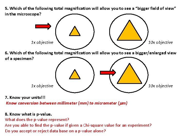 5. Which of the following total magnification will allow you to see a “bigger