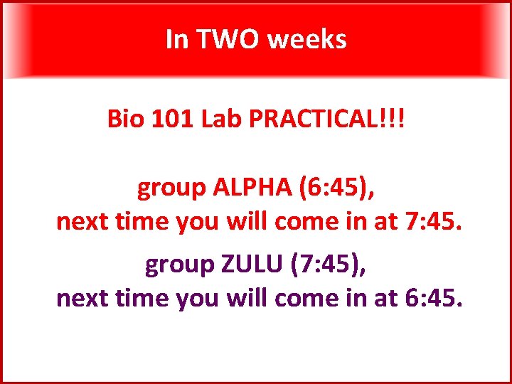 In TWO weeks Bio 101 Lab PRACTICAL!!! group ALPHA (6: 45), next time you