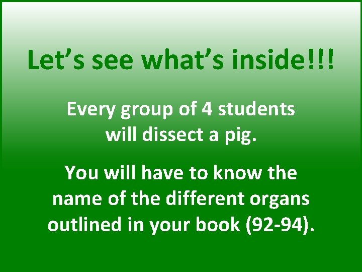 Let’s see what’s inside!!! Every group of 4 students will dissect a pig. You