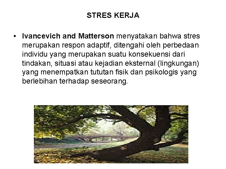 STRES KERJA • Ivancevich and Matterson menyatakan bahwa stres merupakan respon adaptif, ditengahi oleh
