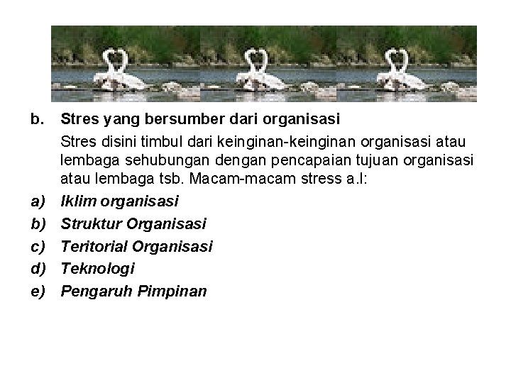b. Stres yang bersumber dari organisasi Stres disini timbul dari keinginan-keinginan organisasi atau lembaga
