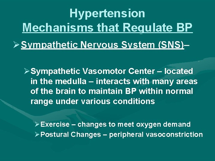 Hypertension Mechanisms that Regulate BP Ø Sympathetic Nervous System (SNS)– ØSympathetic Vasomotor Center –