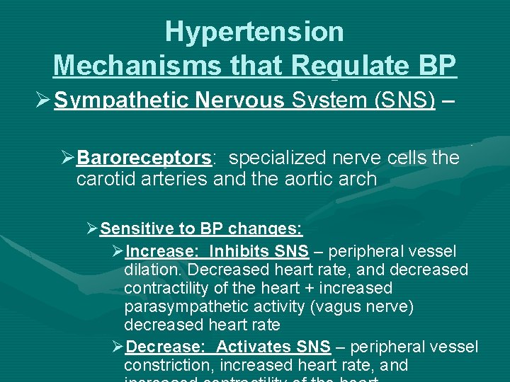 Hypertension Mechanisms that Regulate BP Ø Sympathetic Nervous System (SNS) – ØBaroreceptors: specialized nerve