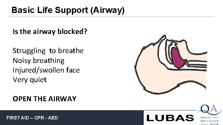 Basic Life Support (Airway) Is the airway blocked? Struggling to breathe Noisy breathing Injured/swollen