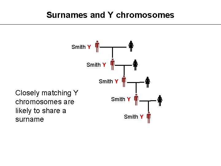 Surnames and Y chromosomes Smith Y Closely matching Y chromosomes are likely to share
