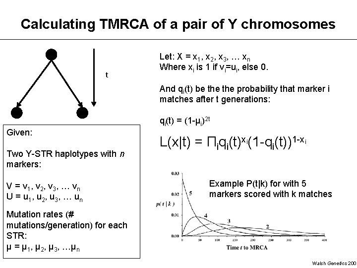 Calculating TMRCA of a pair of Y chromosomes t Let: X = x 1,