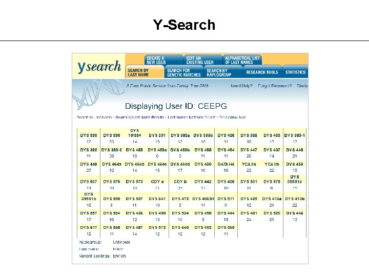 Y-Search 