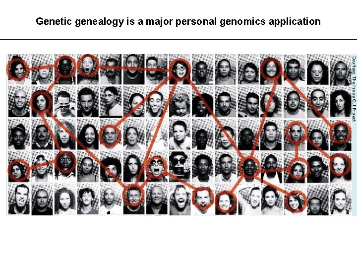 Genetic genealogy is a major personal genomics application 