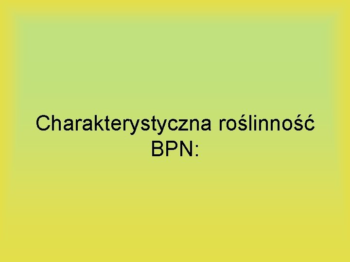 Charakterystyczna roślinność BPN: 