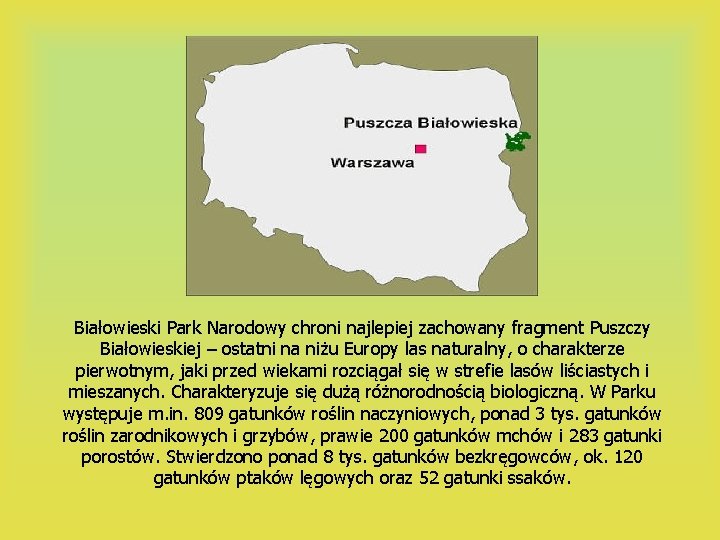 Białowieski Park Narodowy chroni najlepiej zachowany fragment Puszczy Białowieskiej – ostatni na niżu Europy