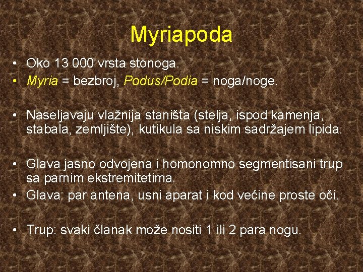 Myriapoda • Oko 13 000 vrsta stonoga. • Myria = bezbroj, Podus/Podia = noga/noge.