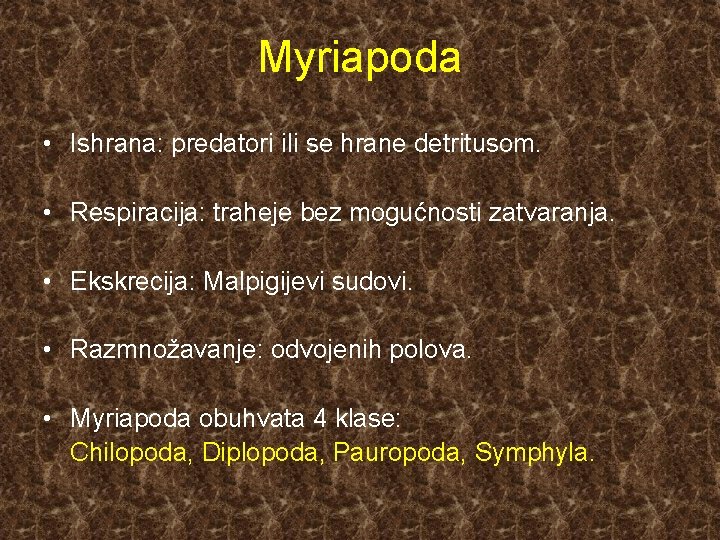 Myriapoda • Ishrana: predatori ili se hrane detritusom. • Respiracija: traheje bez mogućnosti zatvaranja.