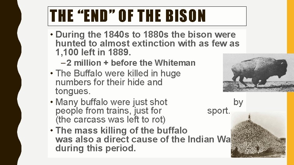 THE “END” OF THE BISON • During the 1840 s to 1880 s the