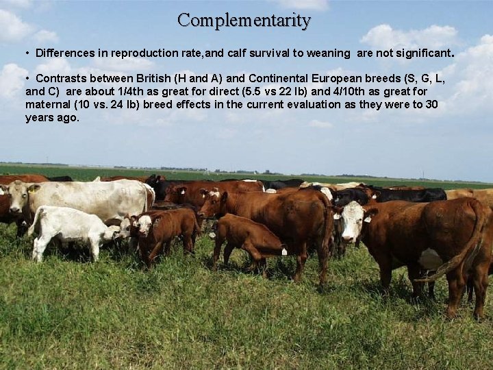 Complementarity • Differences in reproduction rate, and calf survival to weaning are not significant.