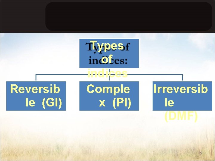 Reversib le (GI) Types of indices : Comple x (PI) Irreversib le (DMF) 5