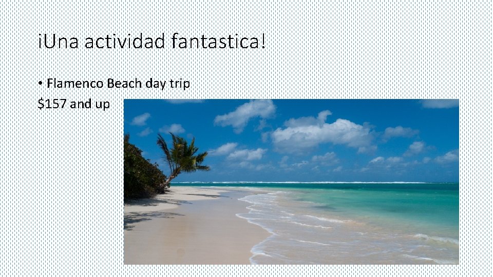 i. Una actividad fantastica! • Flamenco Beach day trip $157 and up 