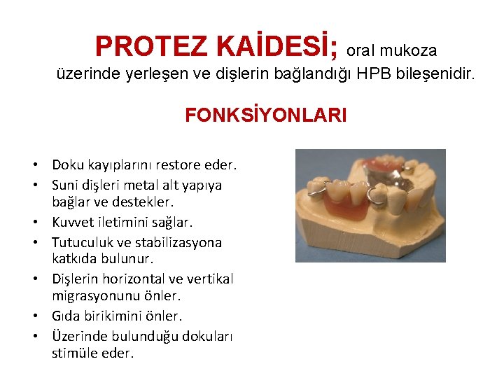 PROTEZ KAİDESİ; oral mukoza üzerinde yerleşen ve dişlerin bağlandığı HPB bileşenidir. FONKSİYONLARI • Doku