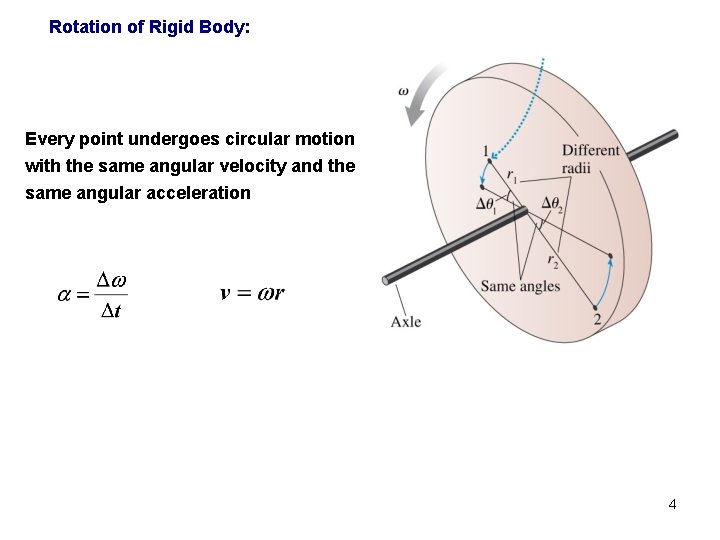 Rotation of Rigid Body: Every point undergoes circular motion with the same angular velocity