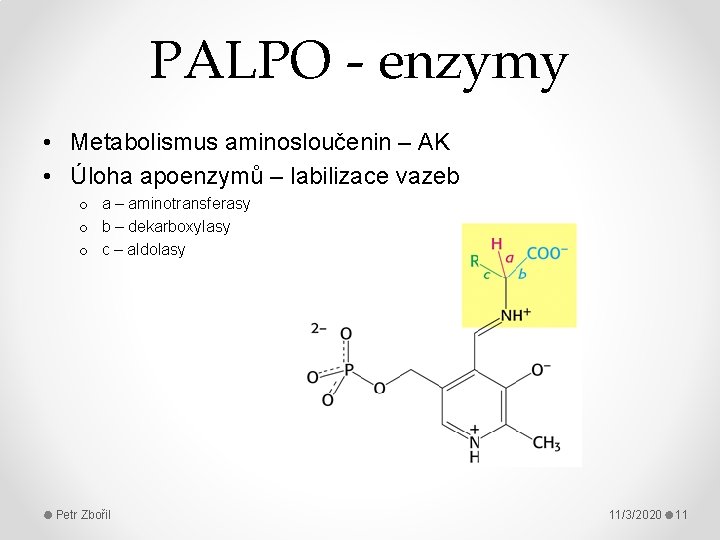 PALPO - enzymy • Metabolismus aminosloučenin – AK • Úloha apoenzymů – labilizace vazeb