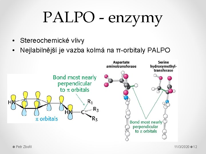 PALPO - enzymy • Stereochemické vlivy • Nejlabilnější je vazba kolmá na π-orbitaly PALPO