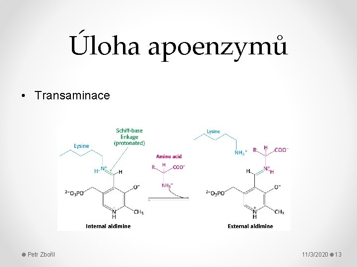 Úloha apoenzymů • Transaminace Petr Zbořil 11/3/2020 13 