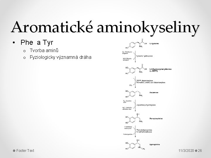 Aromatické aminokyseliny • Phe a Tyr o Tvorba aminů o Fyziologicky významná dráha Footer