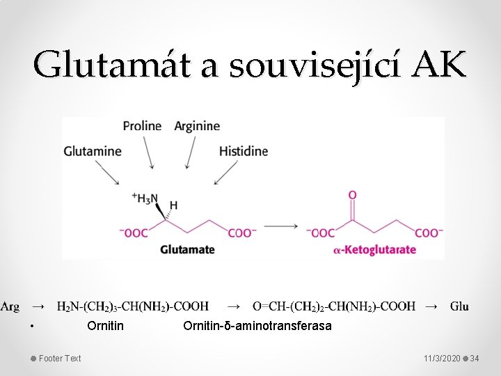 Glutamát a související AK • Ornitin-δ-aminotransferasa Footer Text 11/3/2020 34 