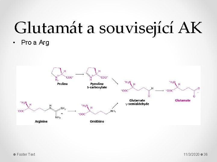 Glutamát a související AK • Pro a Arg Footer Text 11/3/2020 36 