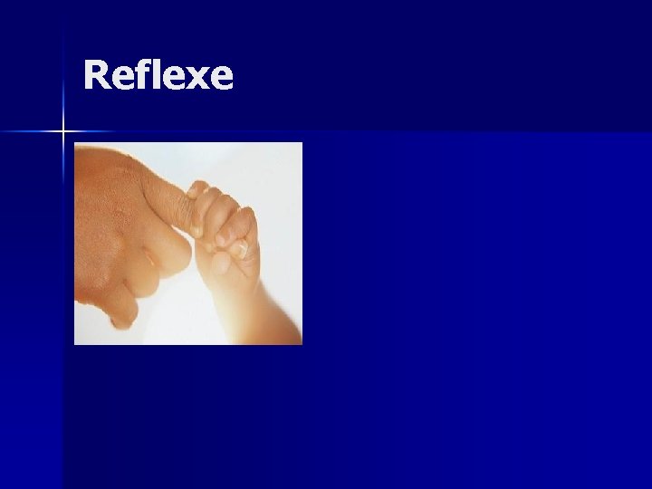 Reflexe Reflexe