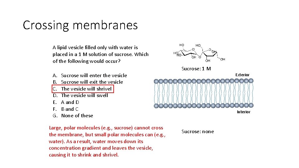 Crossing membranes A lipid vesicle filled only with water is placed in a 1