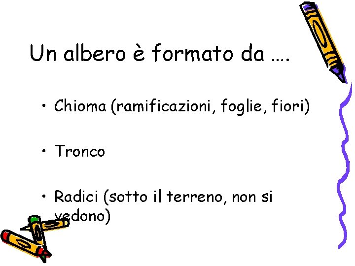 Un albero è formato da …. • Chioma (ramificazioni, foglie, fiori) • Tronco •