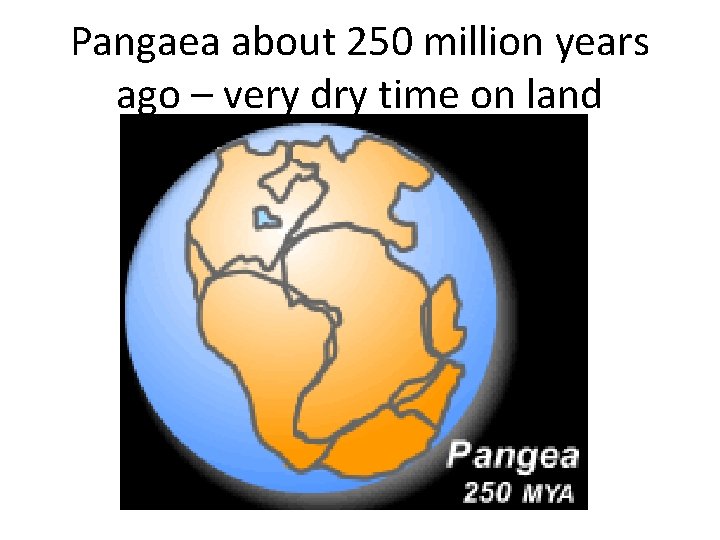 Pangaea about 250 million years ago – very dry time on land 