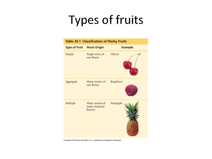 Types of fruits 