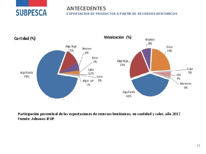 ANTECEDENTES EXPORTACION DE PRODUCTOS A PARTIR DE RECURSOS BENTONICOS Participación porcentual de las exportaciones