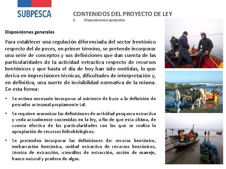 CONTENIDOS DEL PROYECTO DE LEY i) Disposiciones generales Para establecer una regulación diferenciada del