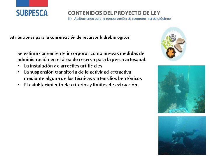 CONTENIDOS DEL PROYECTO DE LEY iii) Atribuciones para la conservación de recursos hidrobiológicos Se