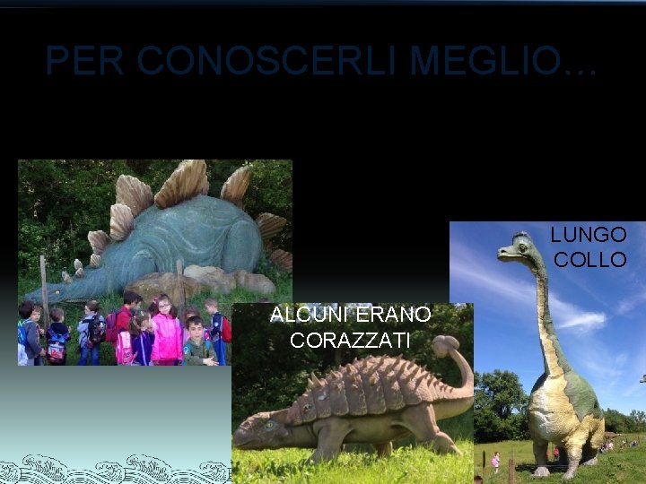 PER CONOSCERLI MEGLIO… SIAMO ANDATI A VEDERLI AL PARCO DEI DINOSAURI A MATELICA ALTRI
