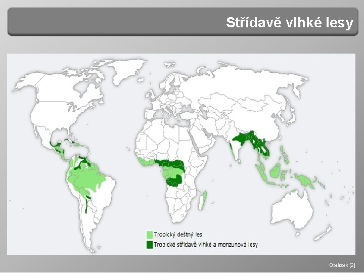 Střídavě vlhké lesy Obrázek [1] Obrázek [2] 