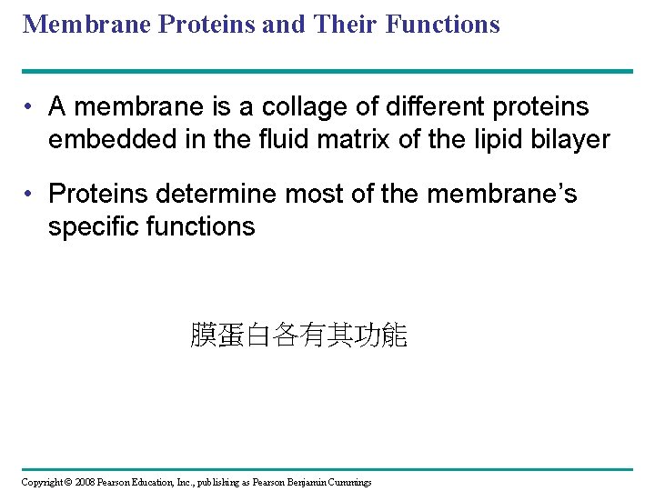 Membrane Proteins and Their Functions • A membrane is a collage of different proteins