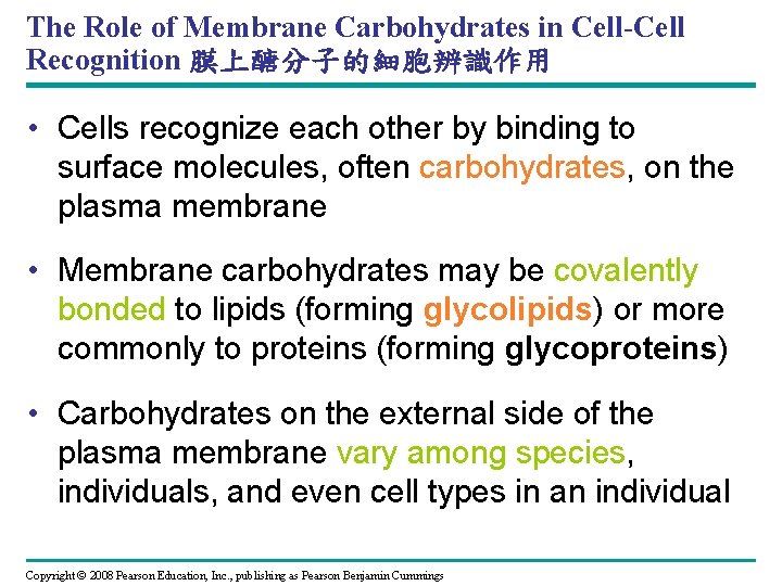 The Role of Membrane Carbohydrates in Cell-Cell Recognition 膜上醣分子的細胞辨識作用 • Cells recognize each other