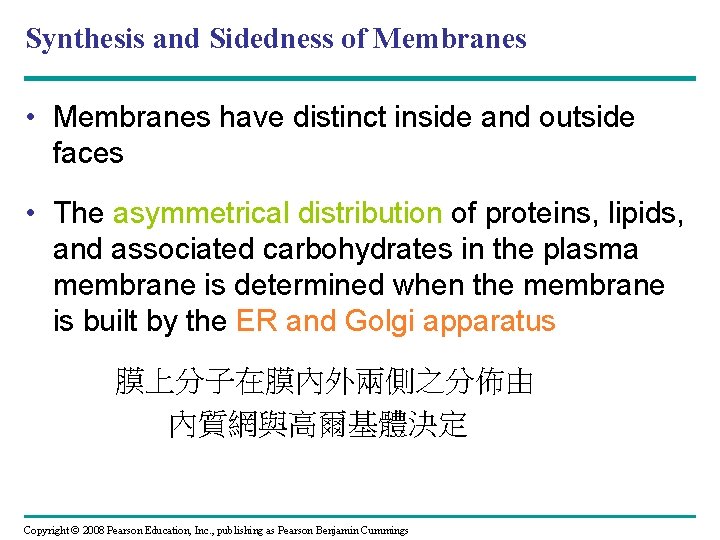 Synthesis and Sidedness of Membranes • Membranes have distinct inside and outside faces •