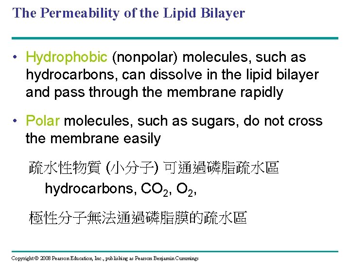 The Permeability of the Lipid Bilayer • Hydrophobic (nonpolar) molecules, such as hydrocarbons, can